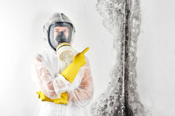 Mold Removal for HVAC Installations in Elmsford, NY